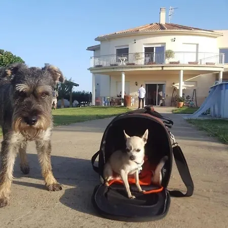 Casa Miguel Y Sally 3*