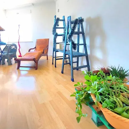 بيت ضيافة Casa Miguel Y Sally 3*